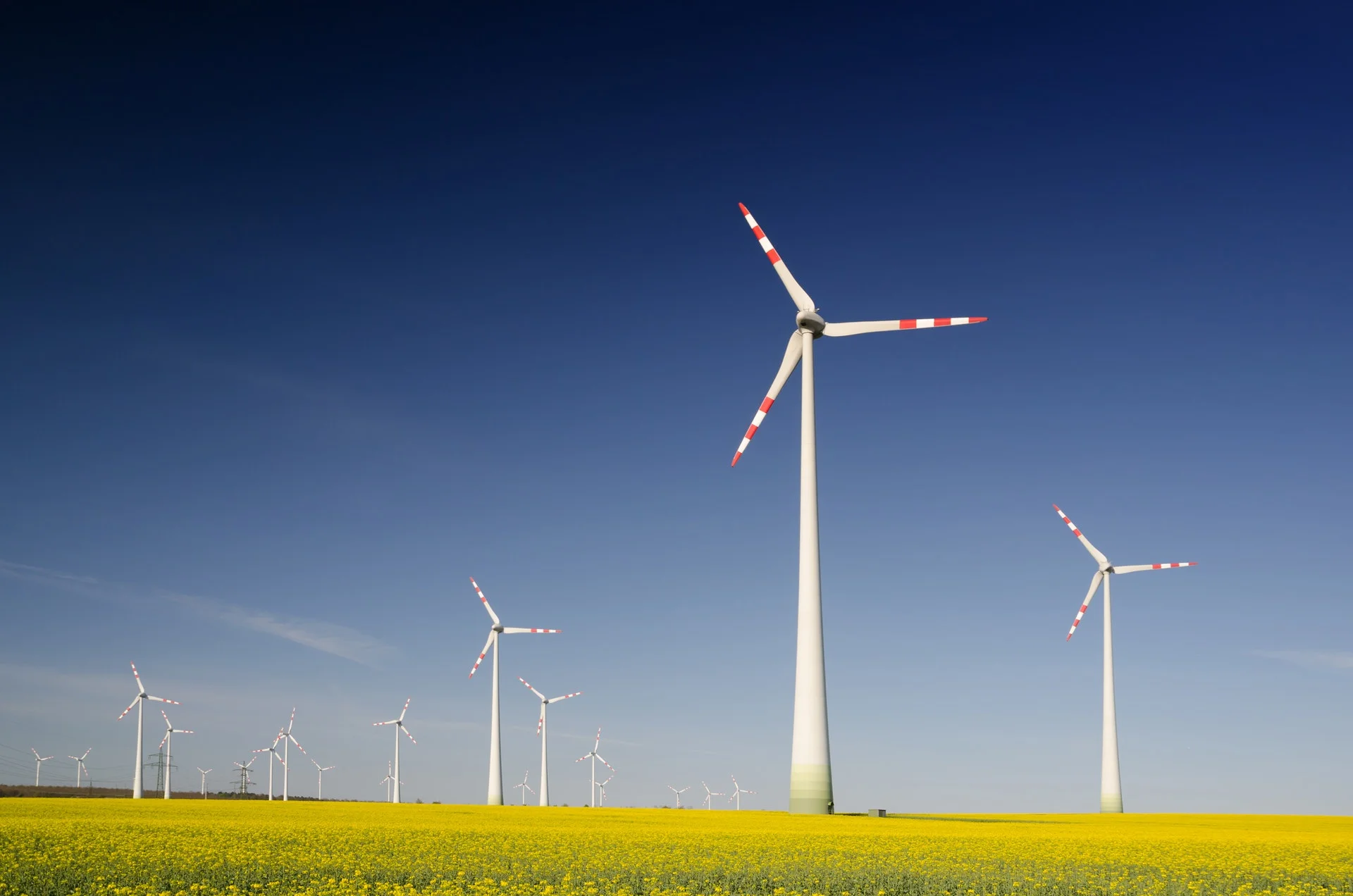 Sustainability Certification